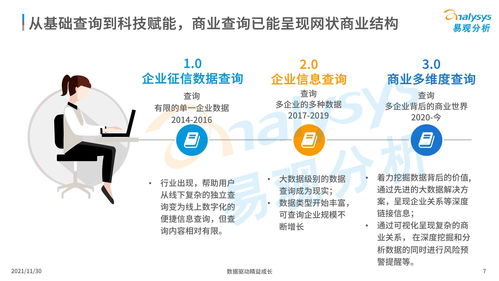 中國商業查詢市場分析2021